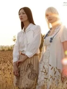 Silk Owl Skirt Formally At Anthropologie